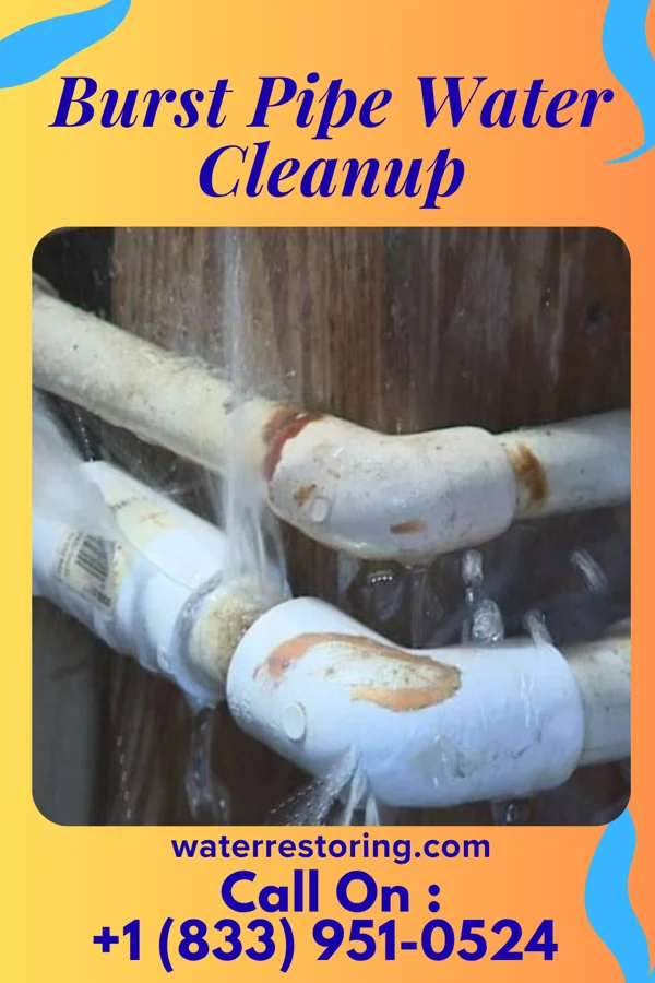 Burst Pipe Water Cleanup in Plymouth, OH