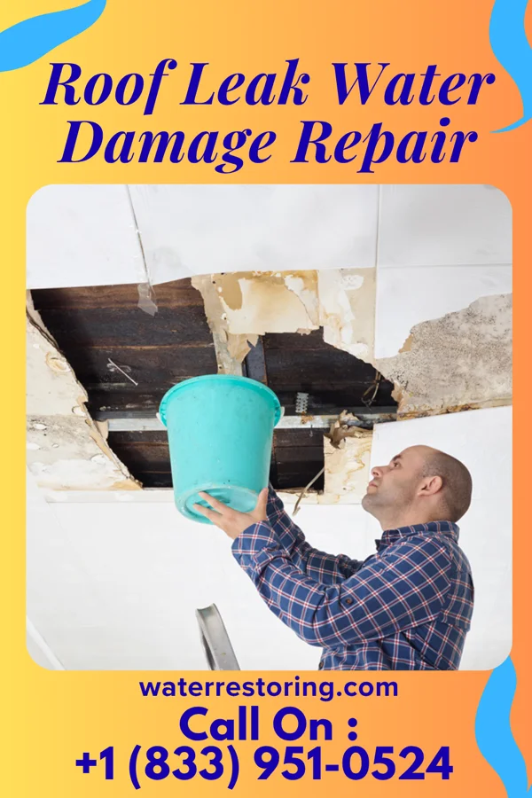 Roof Leak Water Damage Repair in Plymouth, OH