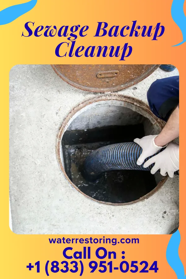 Sewage Backup Cleanup in Plymouth, OH